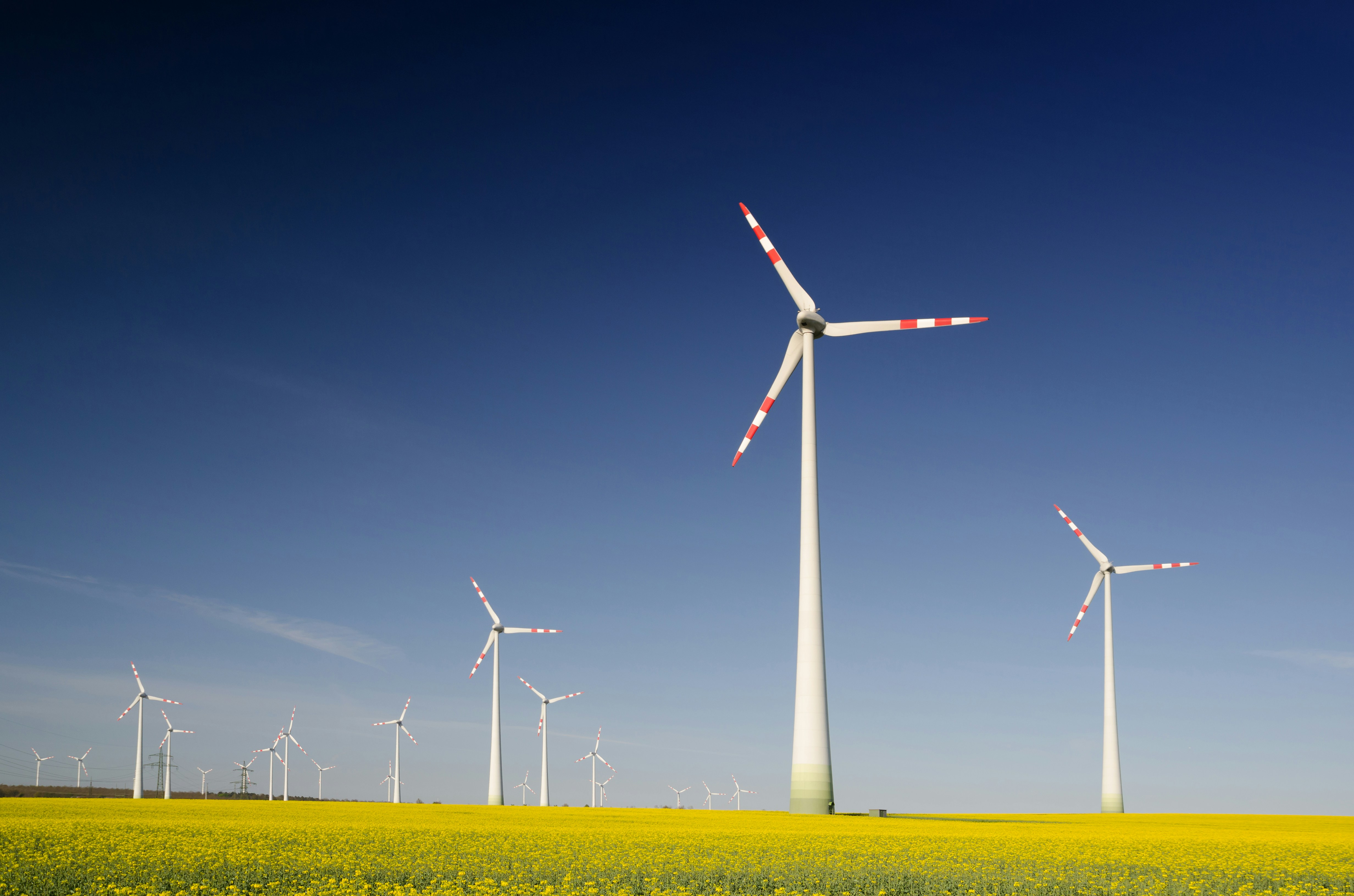 Renewable energy landscape with wind infrastructure